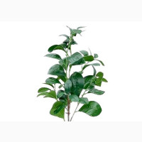 Chinese Banyan Plant | Stunning Artificial Botanical Masterpiece