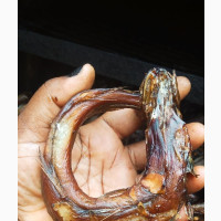 Smoked Panla Ejakika