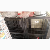 125cm X 95cm X 110cm Extra Large Dog Cage With Demarcation