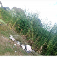 A Plot of Land in Abule-Ado, Amuwo-Odofin For Sale