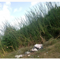 A Plot of Land in Abule-Ado, Amuwo-Odofin For Sale