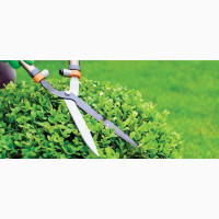 Gardening, Pruning Cleaning
