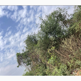 420 Acres Of Farmland At Owo