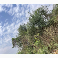 420 Acres Of Farmland At Owo