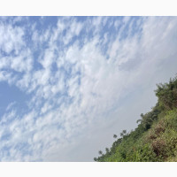 420 Acres Of Farmland At Owo