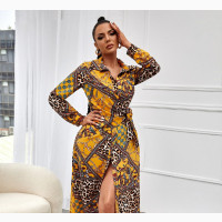 Leopard Side Shirt Dress