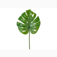 Artificial Turtle Back Leaf Pack - Home Decor