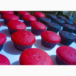 Cupcakes - Delicious Treats