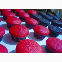 Cupcakes - Delicious Treats