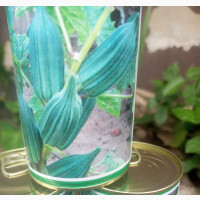 Hybrid Okro Seeds - High Yielding and Profitable Vegetables Seeds