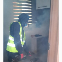 Junebug Fumigation Service - Gas, Liquid, Solid Fumigation