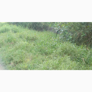 C of O Land for Sale Facing the Road