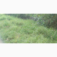 C of O Land for Sale Facing the Road