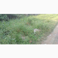 C of O Land for Sale Facing the Road