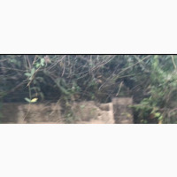 Land Foundation 3bed on It