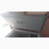 Bosch Deep Freezer - Powers On, Needs Cooling Repair