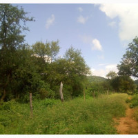 12 Acres of Land for Residential or Commercial Use
