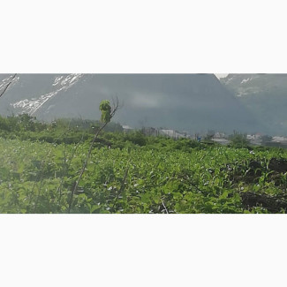 Karsana North Joint Venture 39.8 Hectares