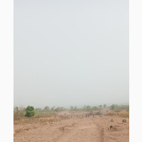 Nubia Estate: Deed Of Agreement, Registered Survey Inclsv