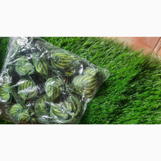 Artificial Plants for Indoor and Outdoor Decor - Better Homes Gardens