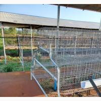 Poultry Equipment Suppliers Nationwide and Empowerment