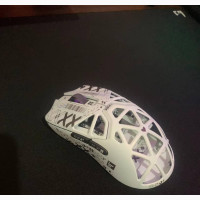 Razer Viper Mini Signature Edition and Wooting 60e
