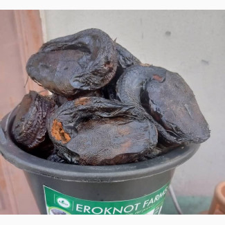 Hygenically Prepared Smoked Dried Catfish