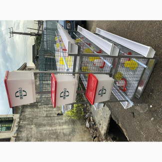 90 Broiler Cage/120 Layer Cage/150 Day Old Cage