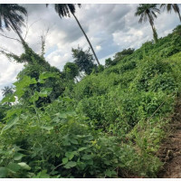 2 Plots for Sale at School Road, FUOYE