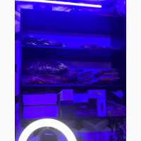 All Equipment Inside Needs Urgent Buyers