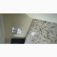 2bdrm Apartment in Goodnews Estate, Ajah for rent