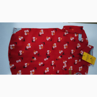 Boys Short Sleeved Shirt