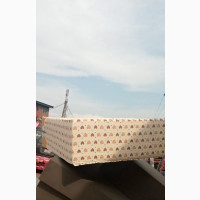 Brand New Semi-Orthopedic Naked Foam Mattress - Beds for Sale