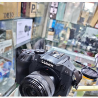 Panasonic G6
