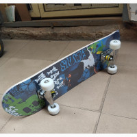 Brand New Professional Adult Skateboard