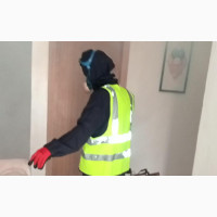Junebug Fumigation Service