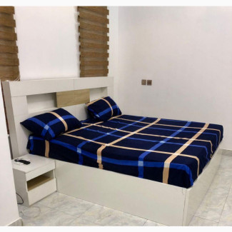 Well Furnished 2 Units of 4 Bedroom Apartment Apartment