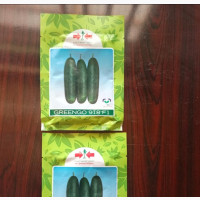 Greengo F1- Cucumber 1000 Seeds