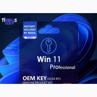 Windows 11 Pro Digital Key