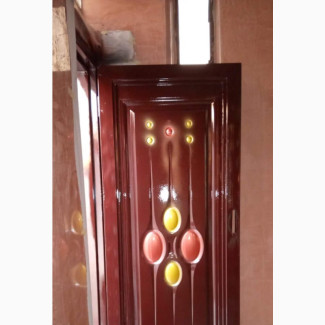 Steel Door