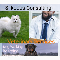 Professional Veterinary Services