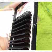 Secret Gold Beauty Easy Fan Extension Lashes