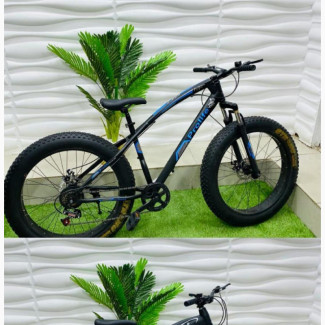 Adult Big Tyre Bicycle