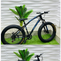 Adult Big Tyre Bicycle