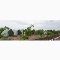 400 SQM Estate Plot at Idu, With FCDA Building Approval
