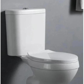 Quality Topaz Wc With Basin