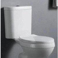 Quality Topaz Wc With Basin