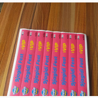 Customized Tyvek Event Wristband (Paper Band)