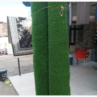 Turf Green Grass