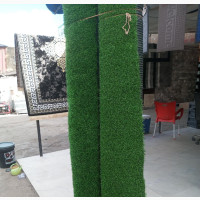 Turf Green Grass